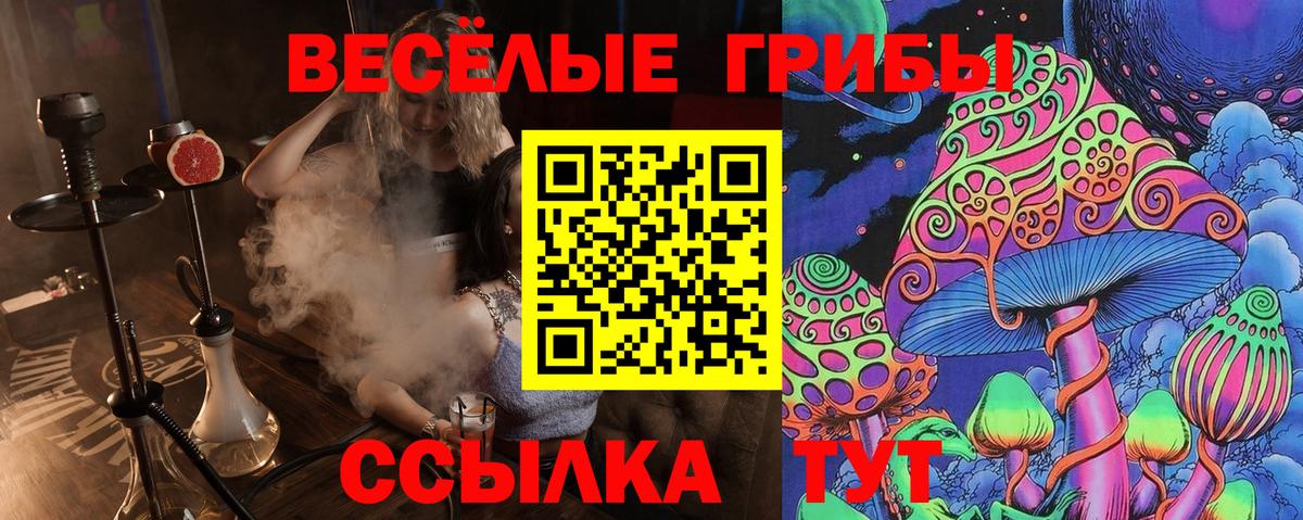 Каменск-Уральский  Галлюциногенные грибы мухоморы  Вход с VPN 